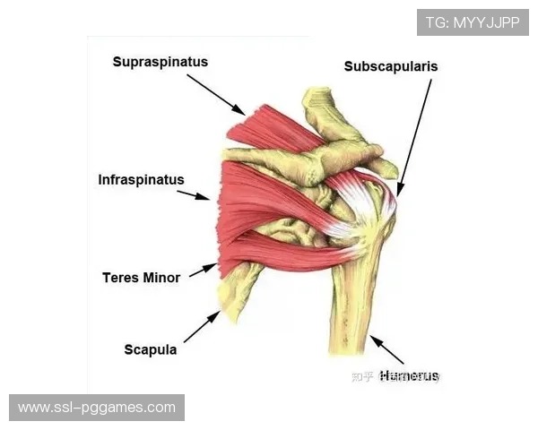 运动生物力学在羽毛球训练中的应用与进展